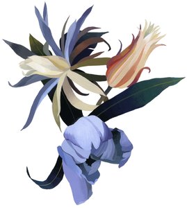 不明な画像 作： Unbekannt Unbekannt